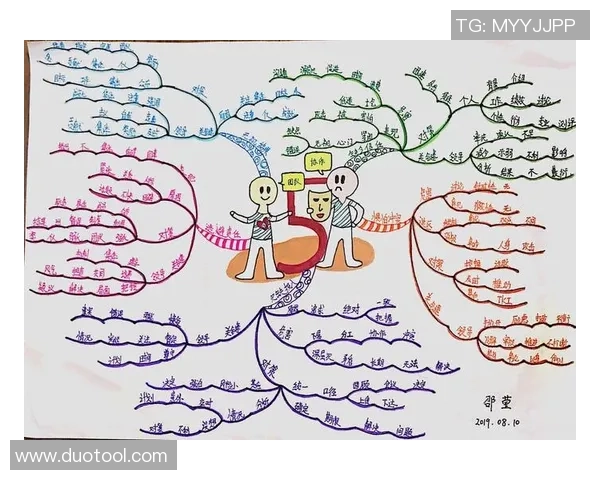 杭州排球队阵地战解析:战术创新与团队协作的完美结合